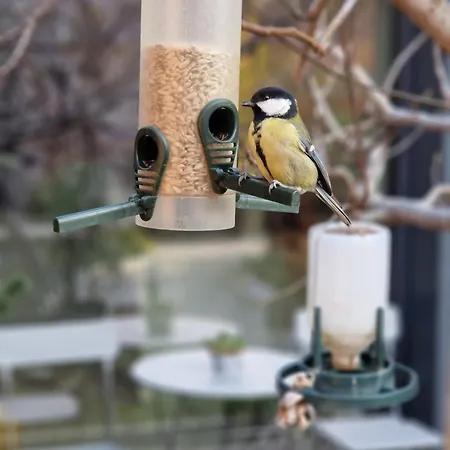 27 アパート ヴァルナ