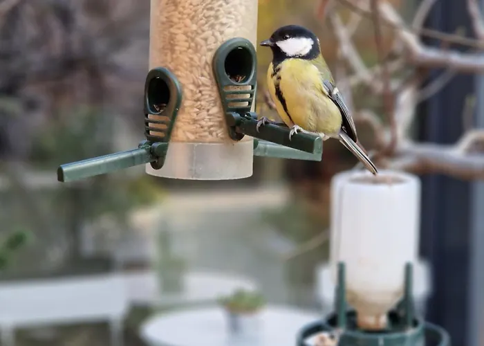 27 Appartement Varna